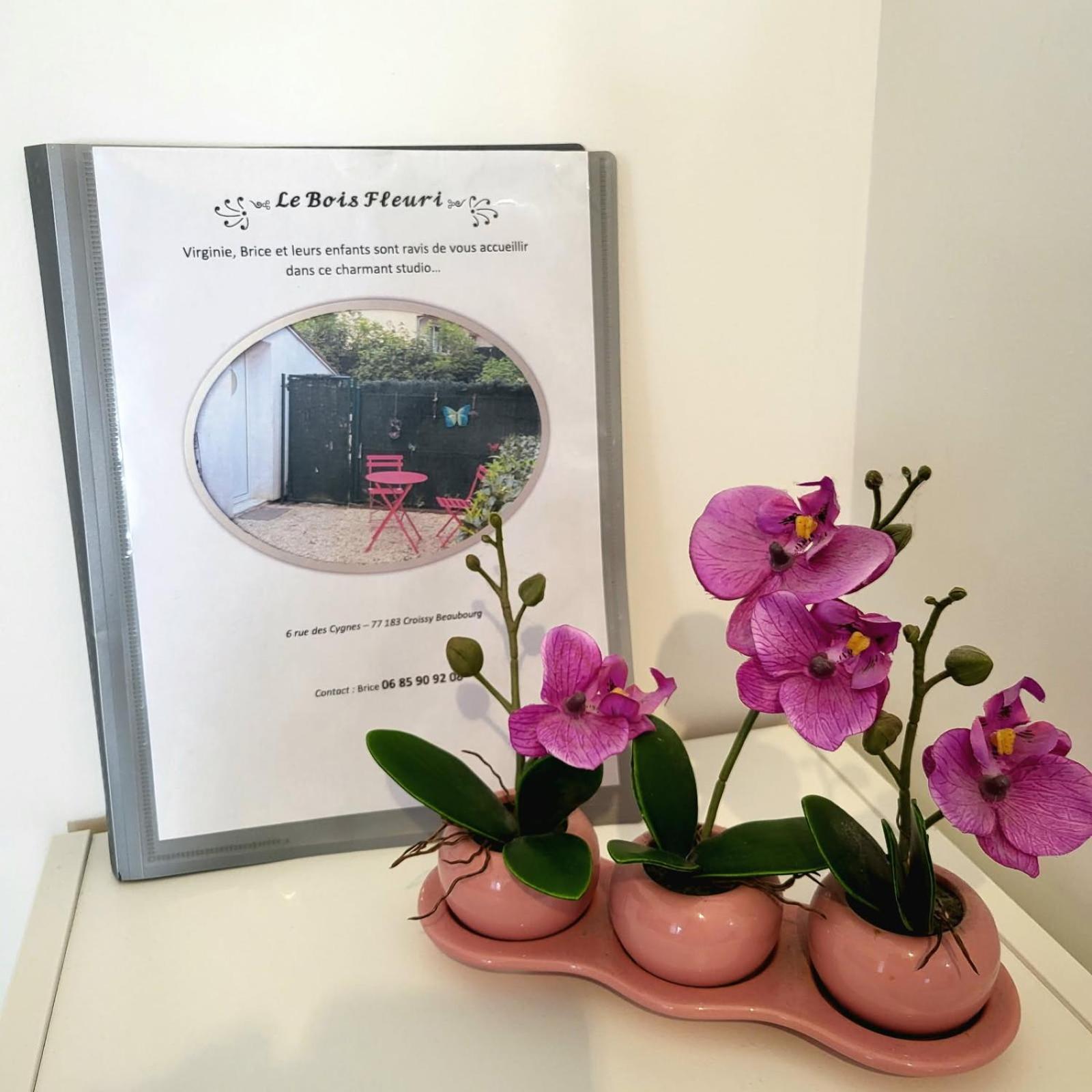 Maison Studio Le Bois Fleuri Croissy-Beaubourg 외부 사진